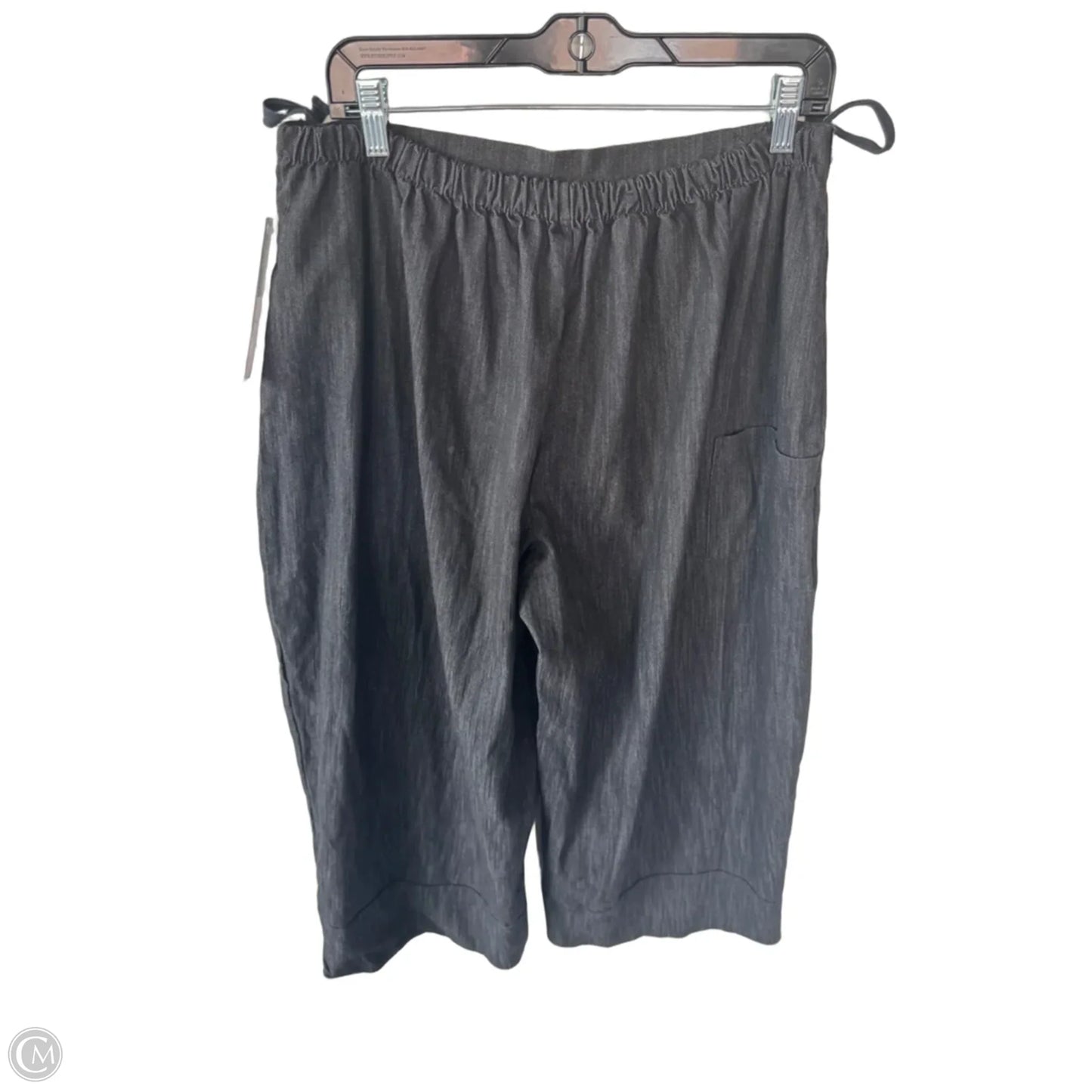Pants Wide Leg By Cmb In Black, Size: 12