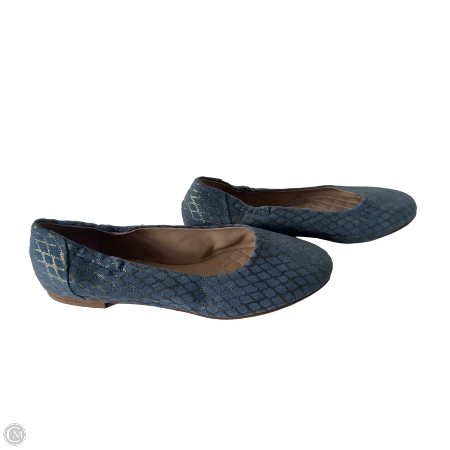 Shoes Flats By Cmb In Blue & Gold, Size: 8