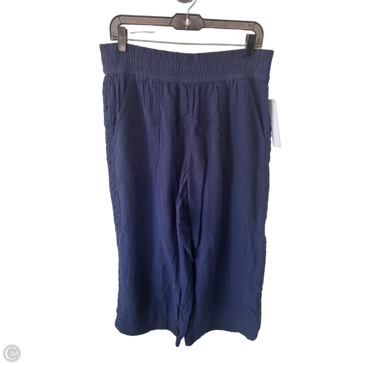 Pants Linen By Aerie In Blue, Size: 12