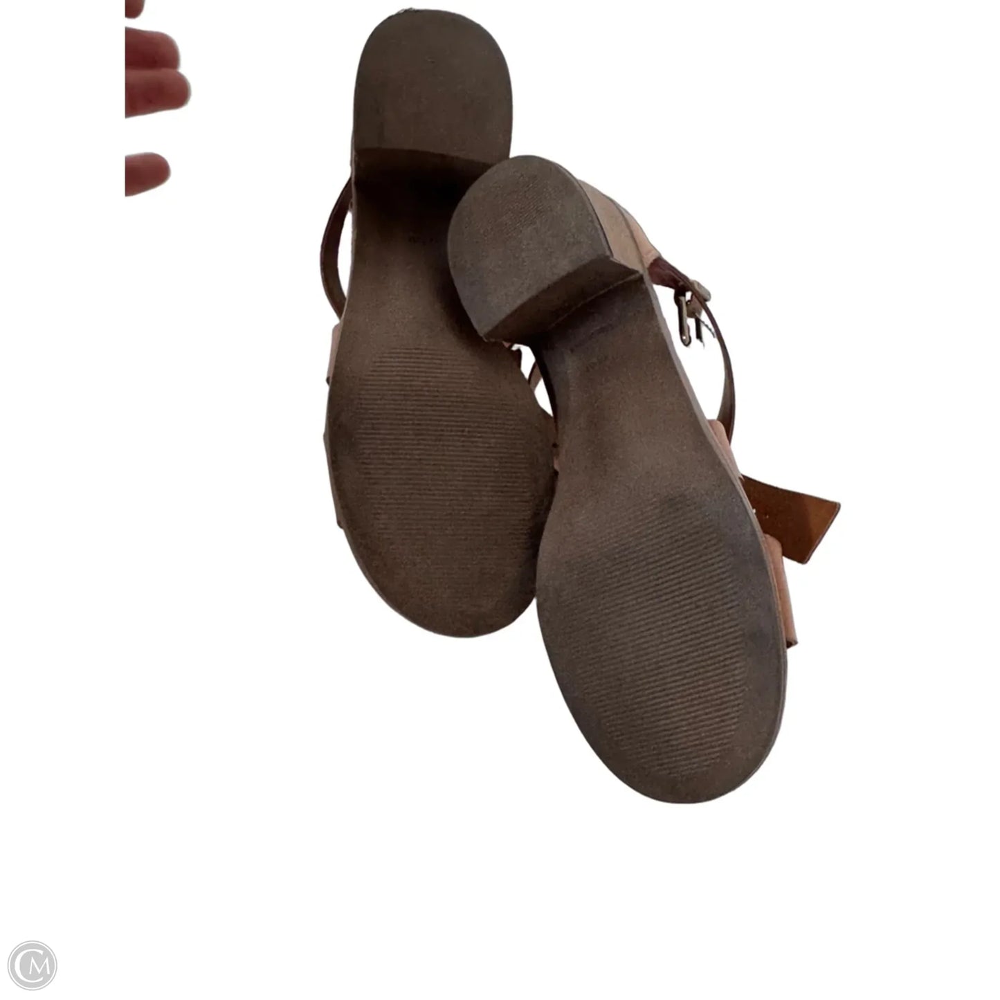 Sandals Heels Block By Steve Madden In Brown, Size: 7.5
