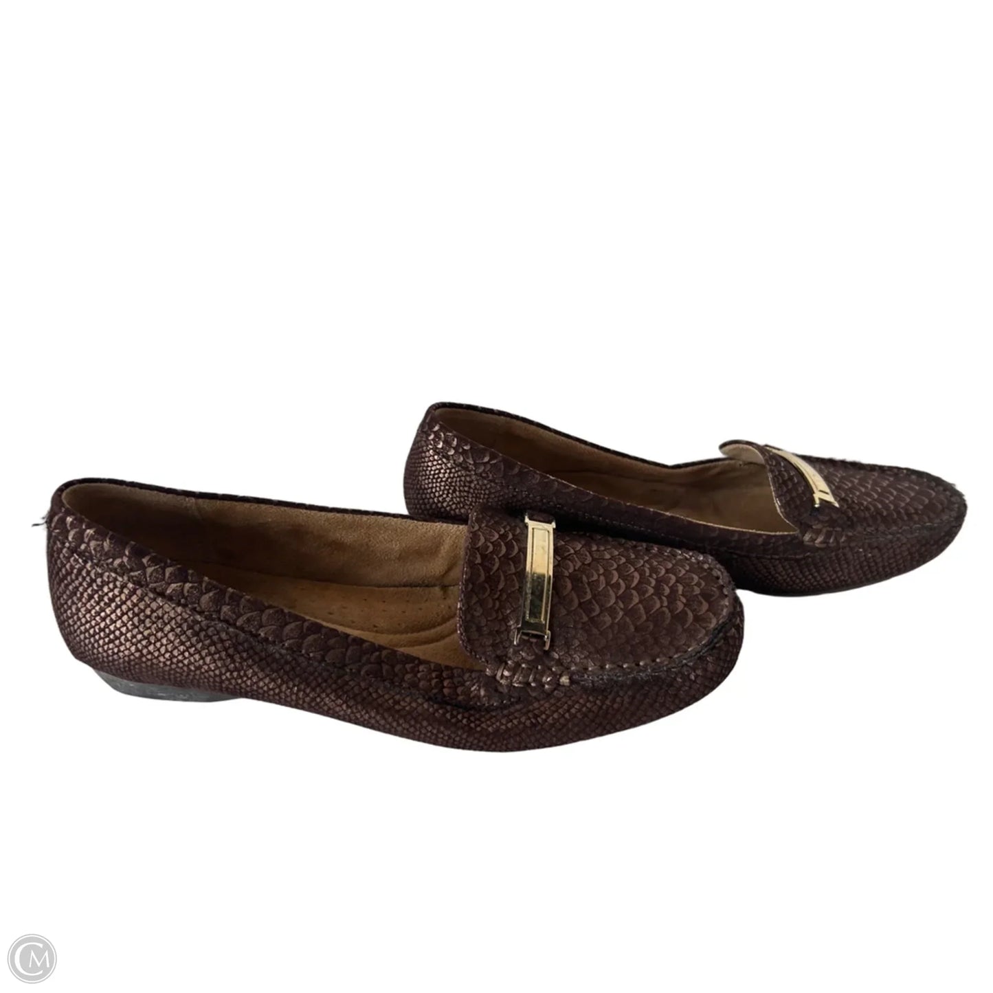 Shoes Flats By Naturalizer In Brown, Size: 8