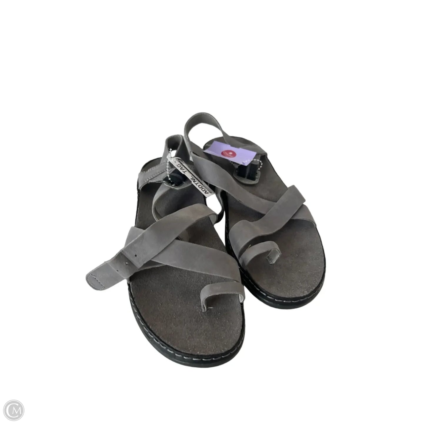Sandals Flats By Chacos In Grey, Size: 9