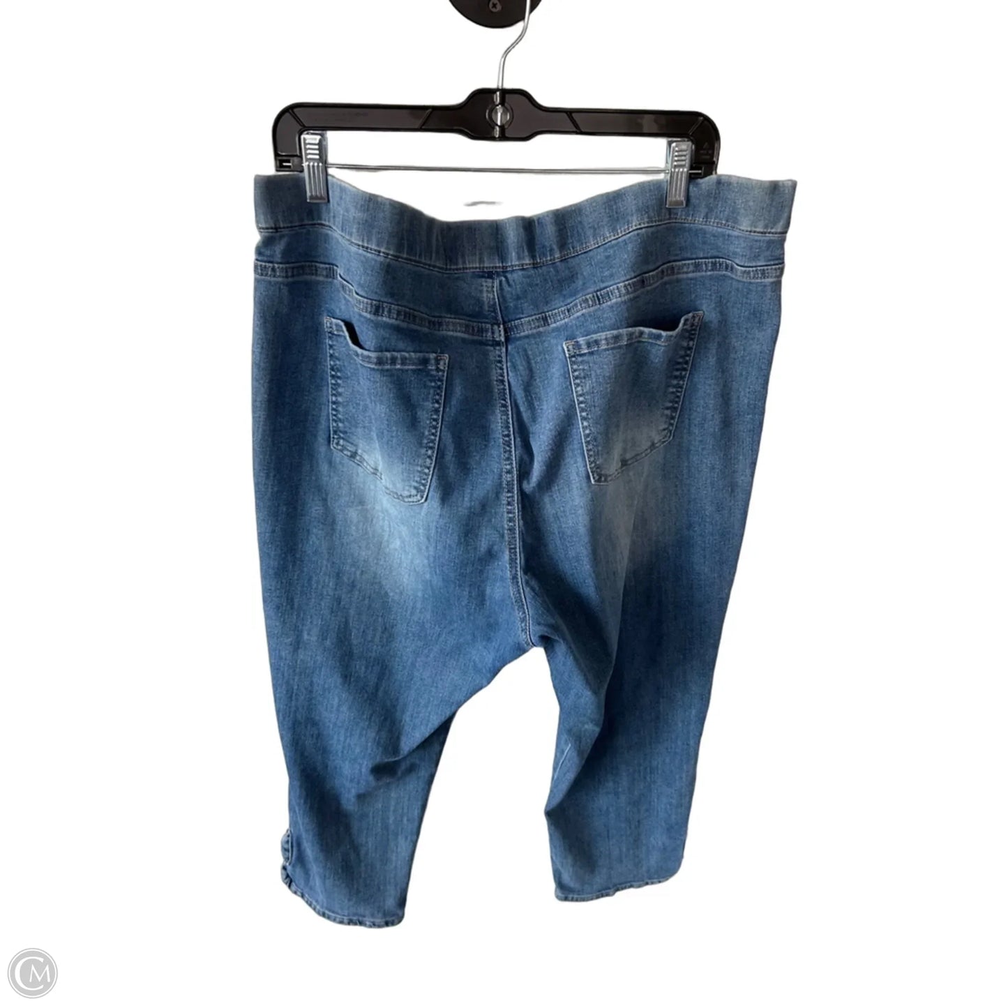 Jeans Jeggings By Charlie B In Blue Denim, Size: 18