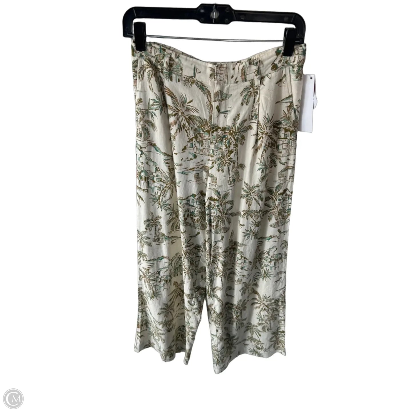 Pants Linen By Z Supply In Green & Tan, Size: S