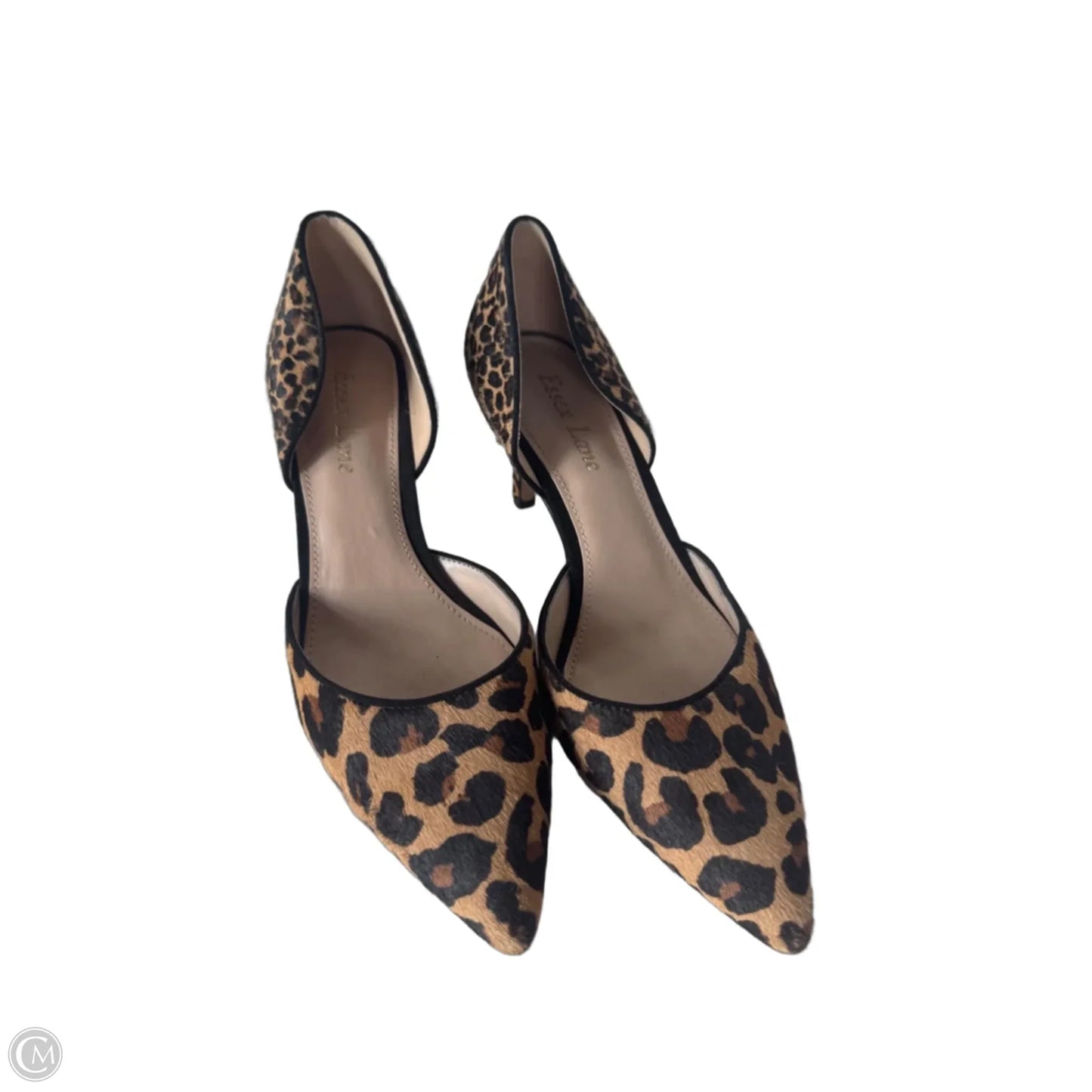 Shoes Heels Kitten By Clothes Mentor In Animal Print, Size: 6.5