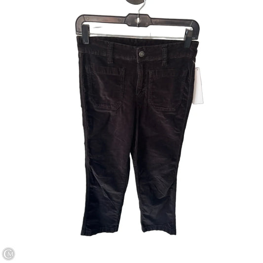 Pants Other By Free People In Brown, Size: 2
