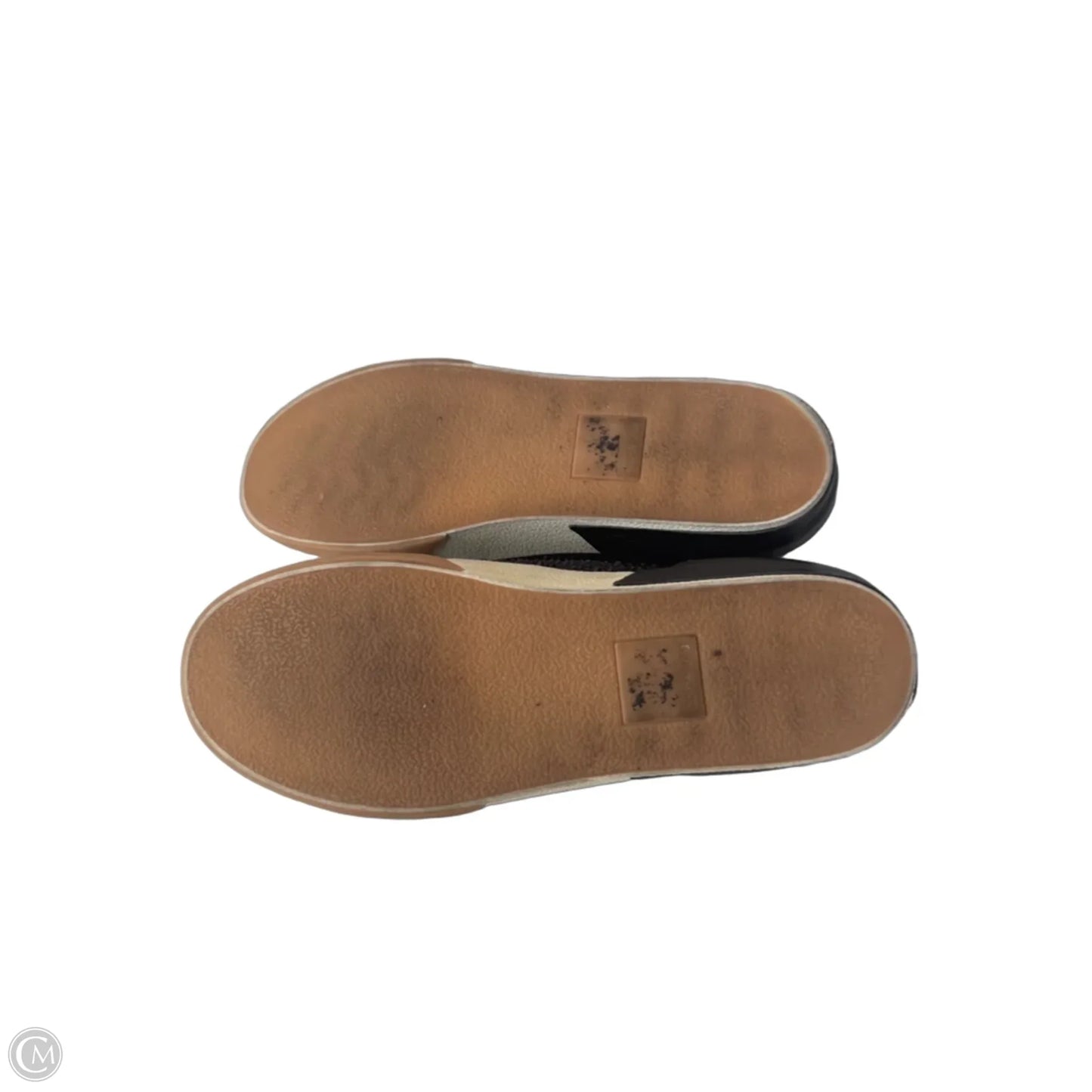 Shoes Sneakers By Dolce Vita In Black & Cream, Size: 8
