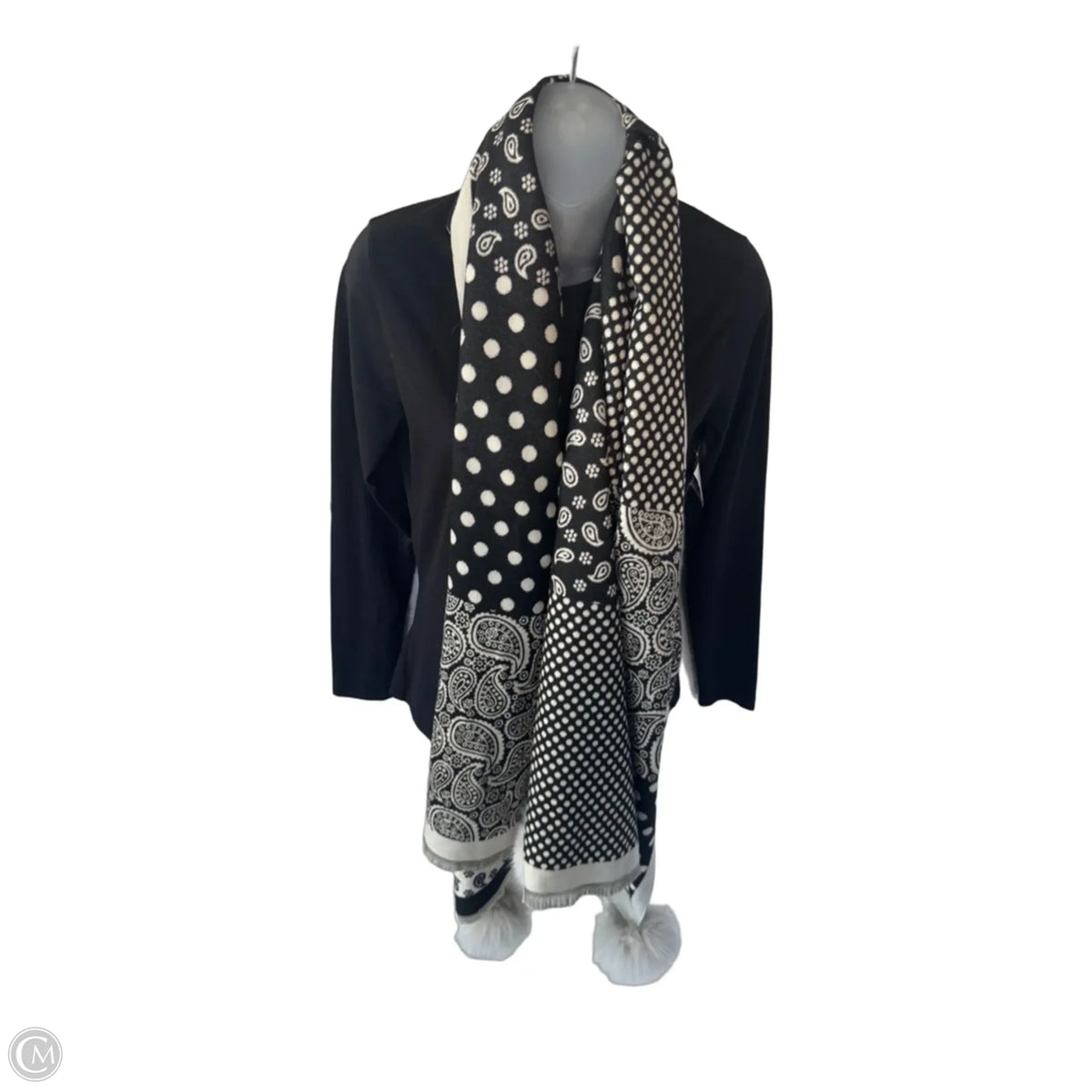 Scarf Long By Clothes Mentor