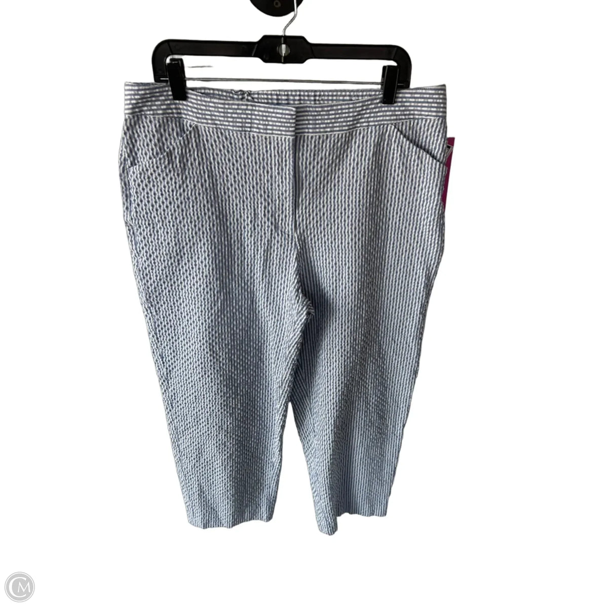 Pants Other By Chicos In Blue & White, Size: 14