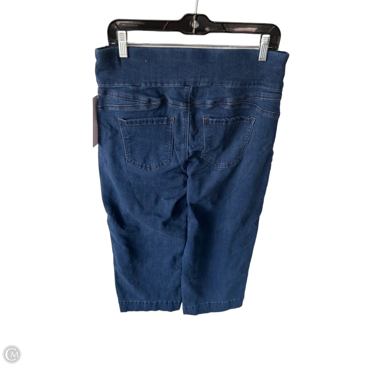 Jeans Wide Leg By Chicos In Blue Denim, Size: 8
