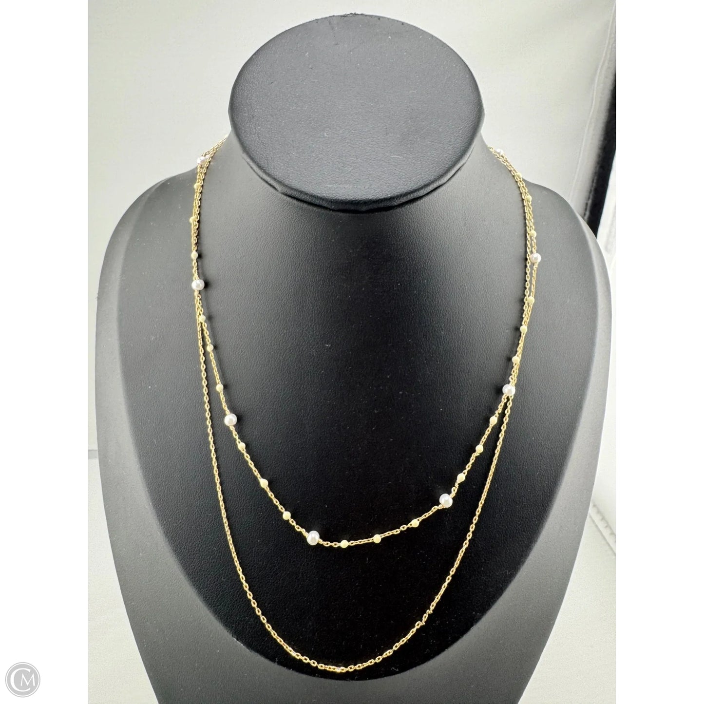 Necklace Layered By Altard State
