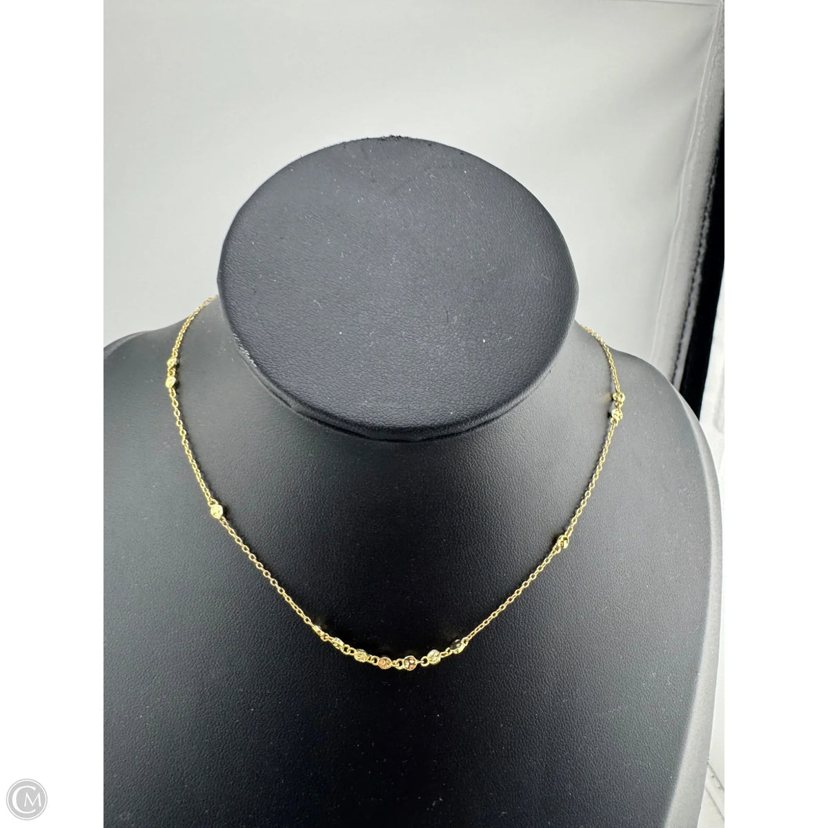 Necklace Chain By Clothes Mentor