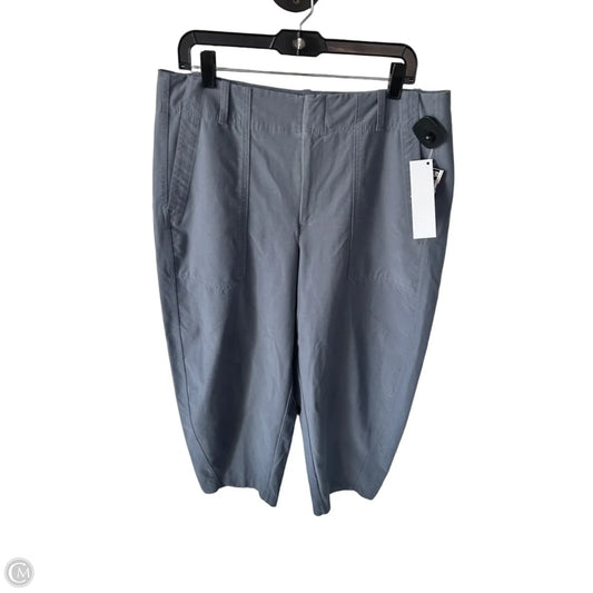 Athletic Pants By Athleta In Blue, Size: 16