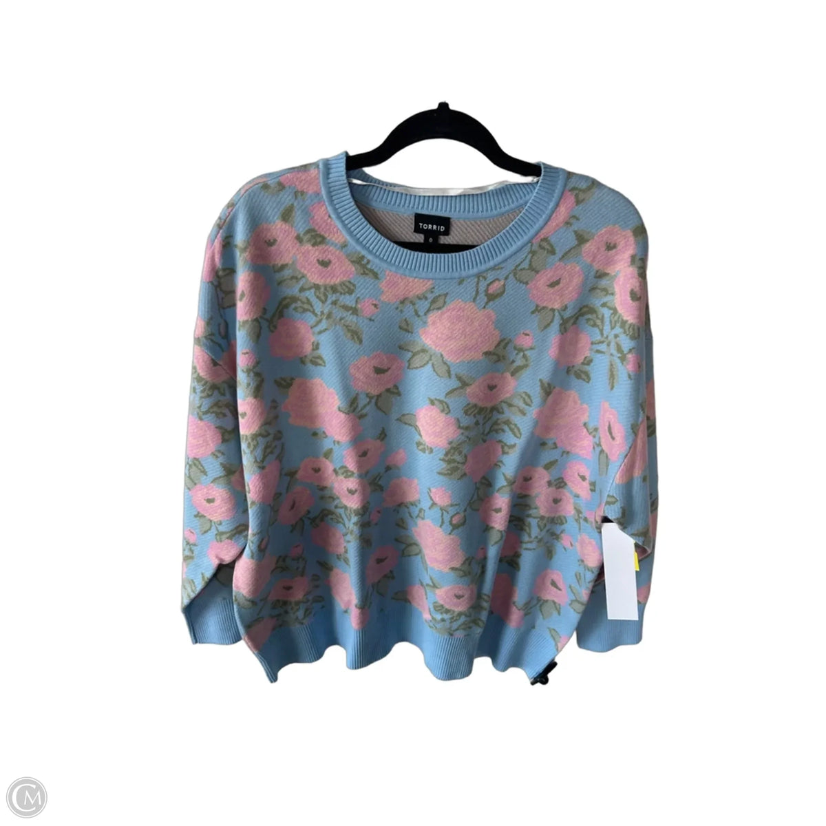 Sweater By Torrid In Blue & Pink, Size: L