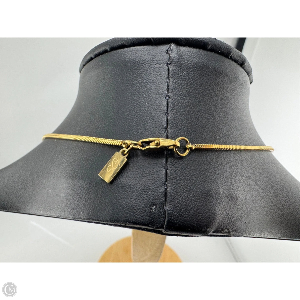 Necklace Chain By Clothes Mentor