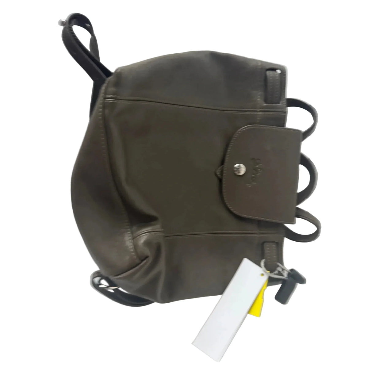 Backpack Designer By Longchamp, Size: Small