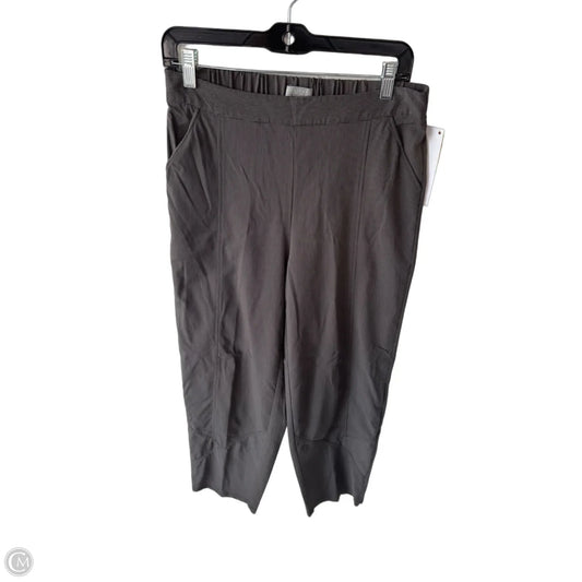 Pants Other By Habitat In Black & Grey, Size: S
