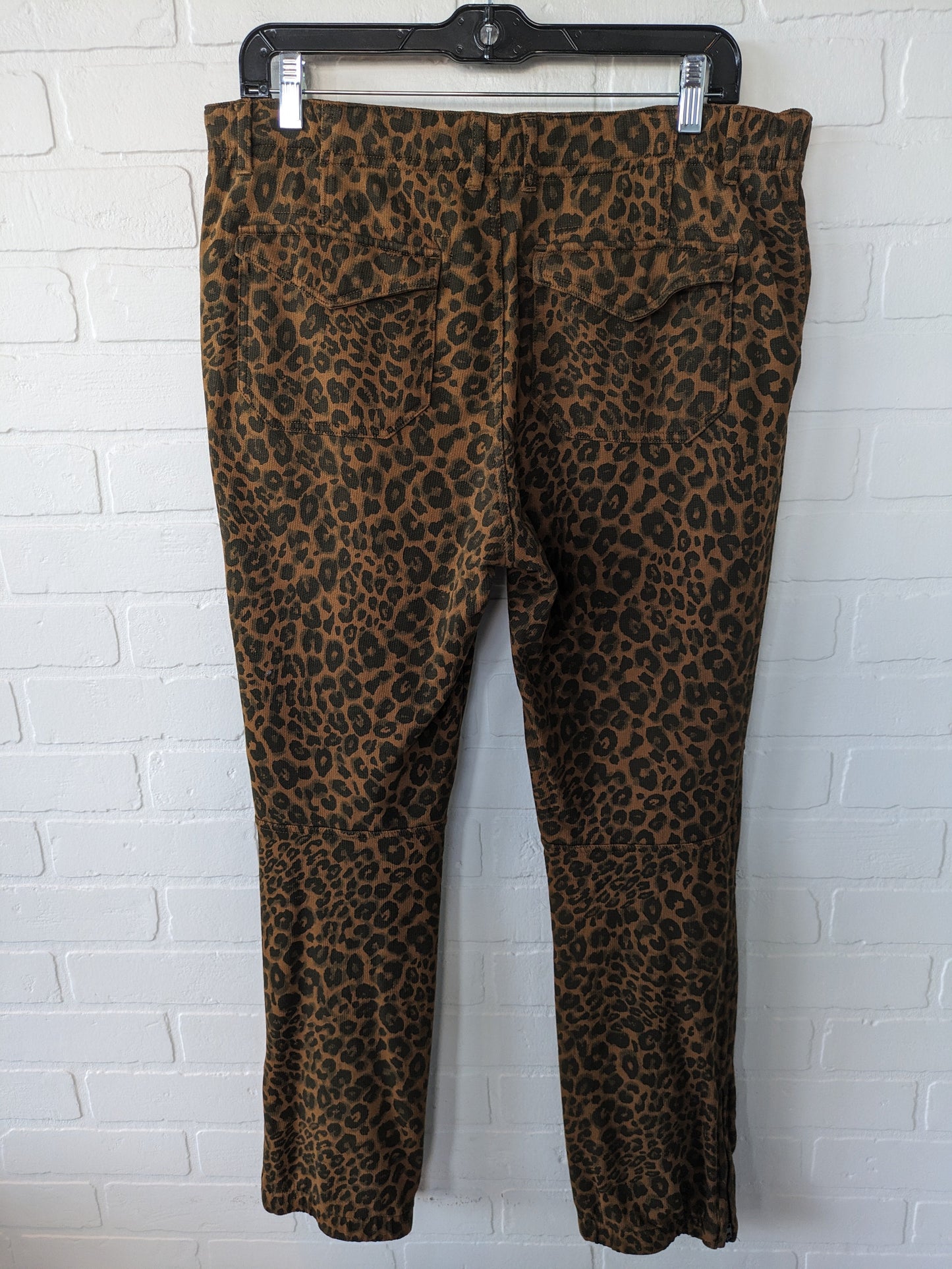 Pants Other By Sanctuary  Size: 12