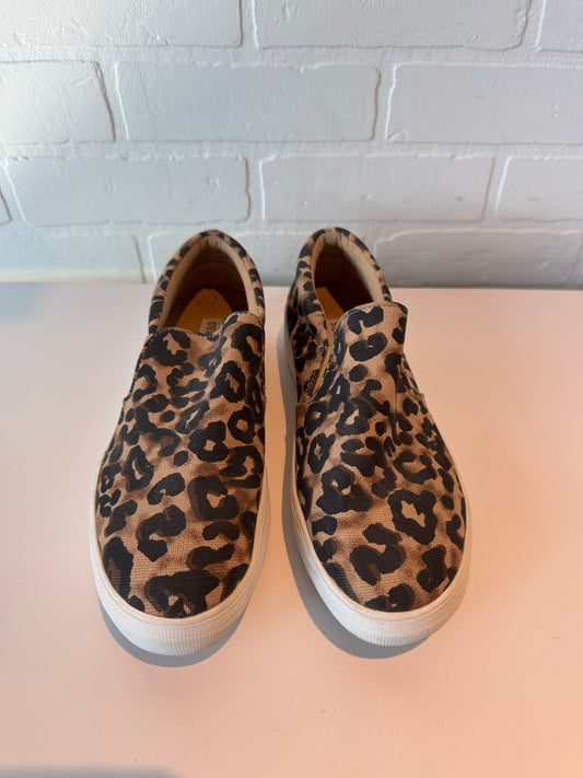 Shoes Flats By Steve Madden In Animal Print, Size: 9.5