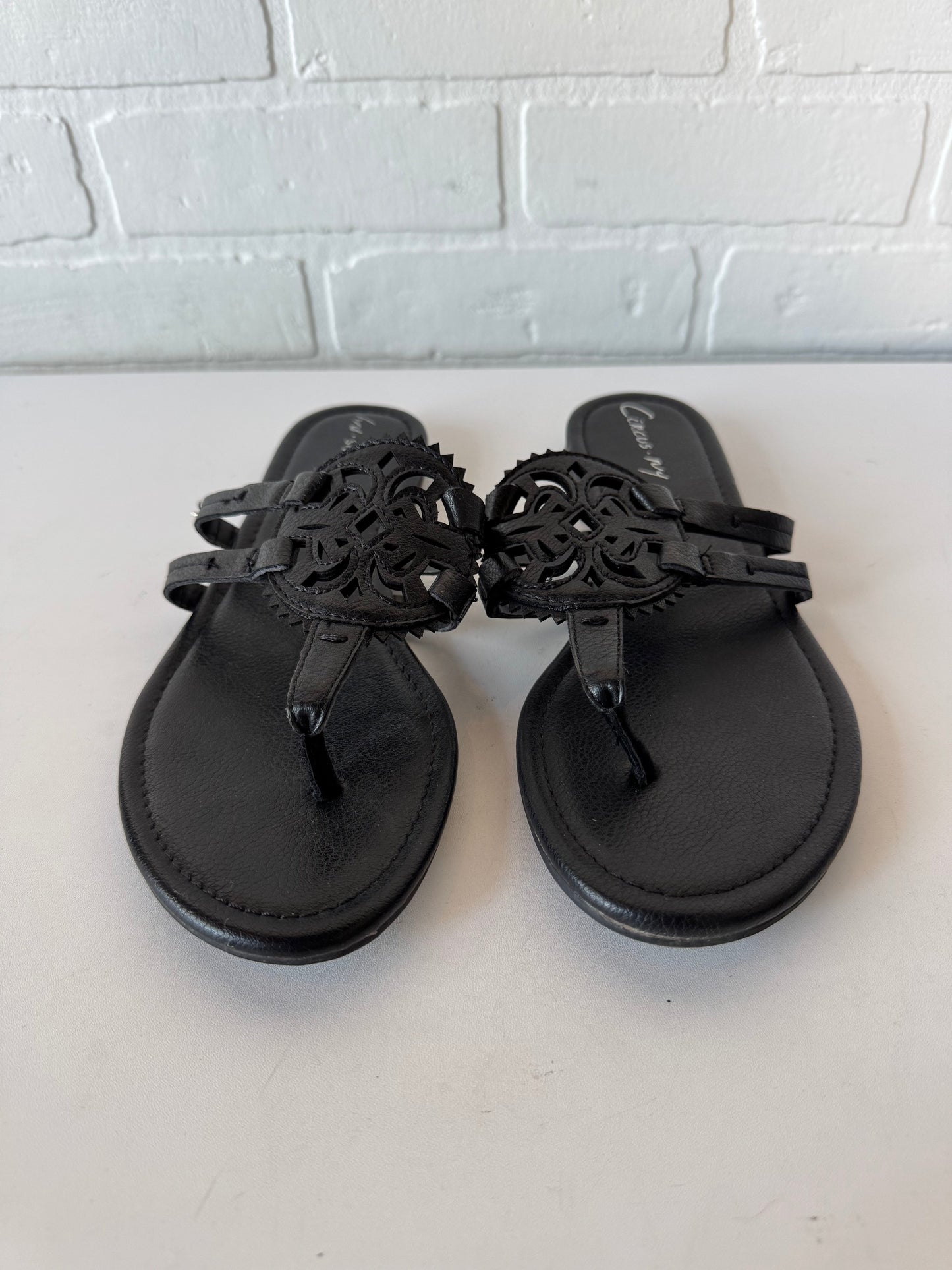 Sandals Flip Flops By Circus By Sam Edelman In Black, Size: 8.5