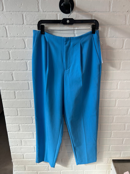 Pants Other By A New Day In Blue, Size: 10