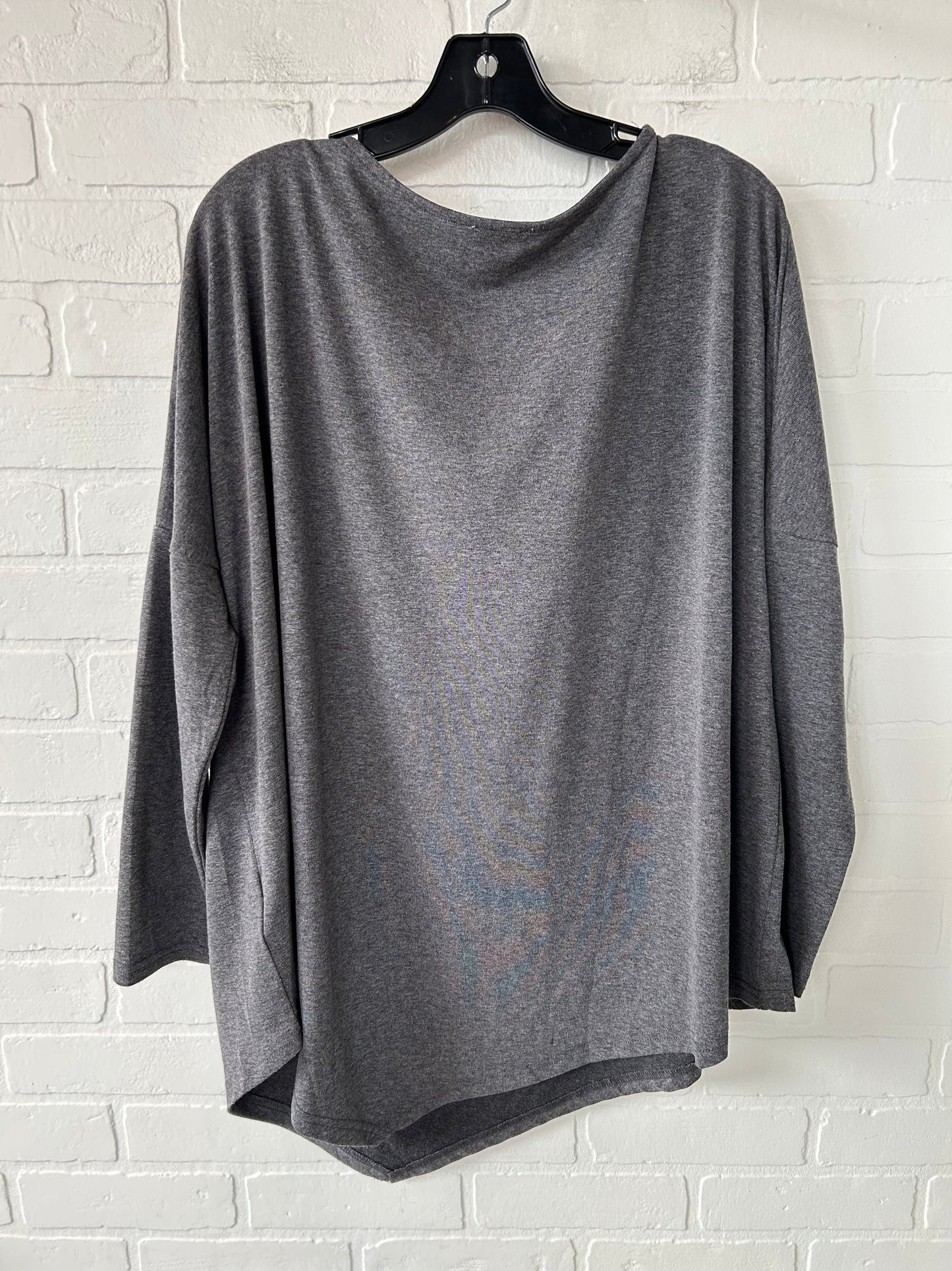 Top Long Sleeve Basic By Umgee In Grey, Size: M