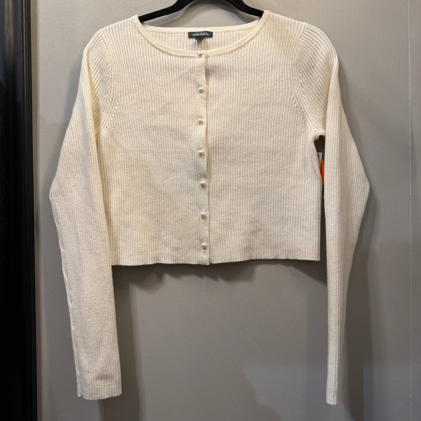 Sweater Cardigan By Wild Fable In Cream, Size: M