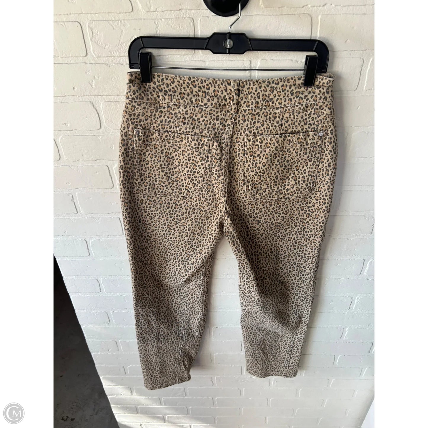 Jeans Straight By Pilcro In Tan, Size: 4