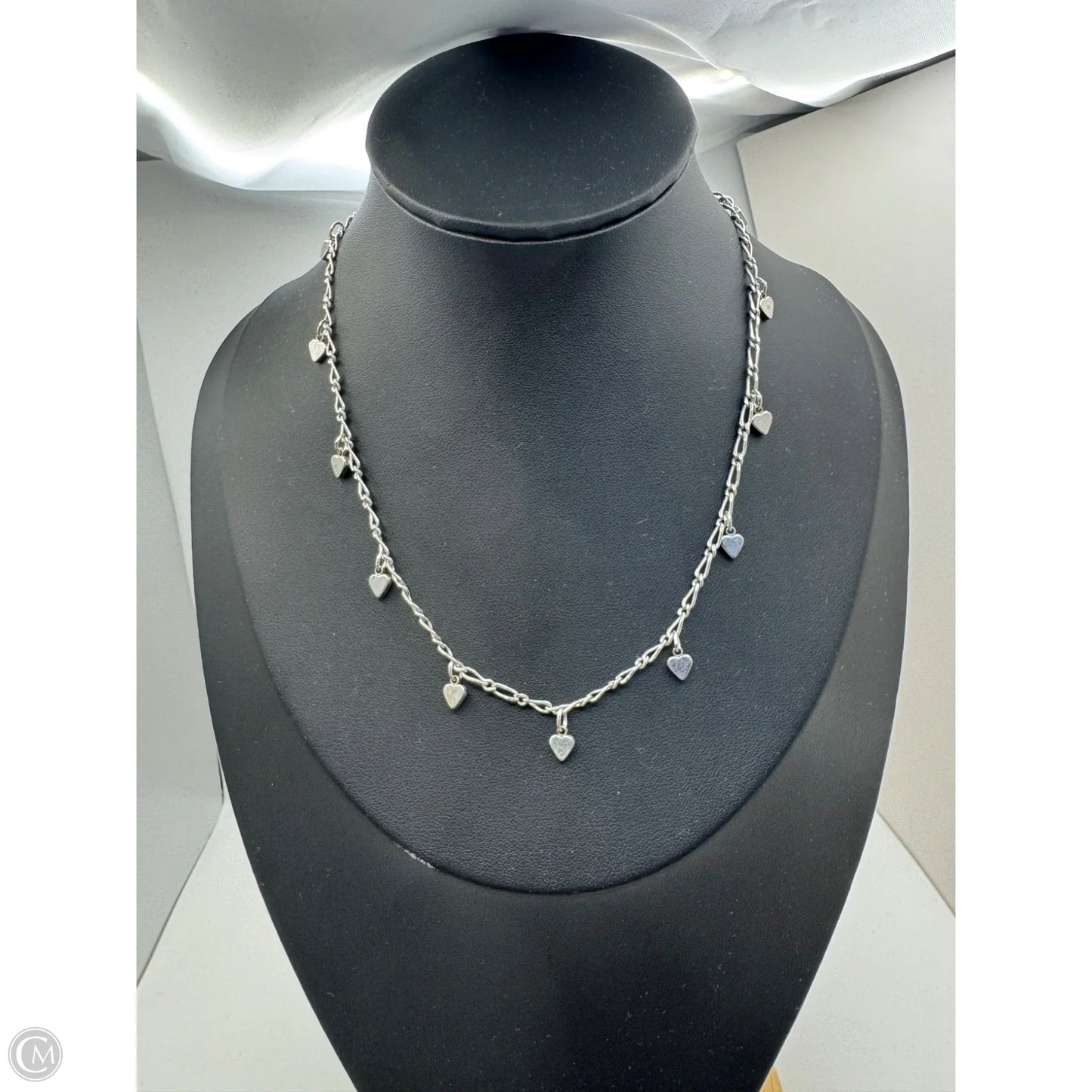 Necklace Chain By Clothes Mentor