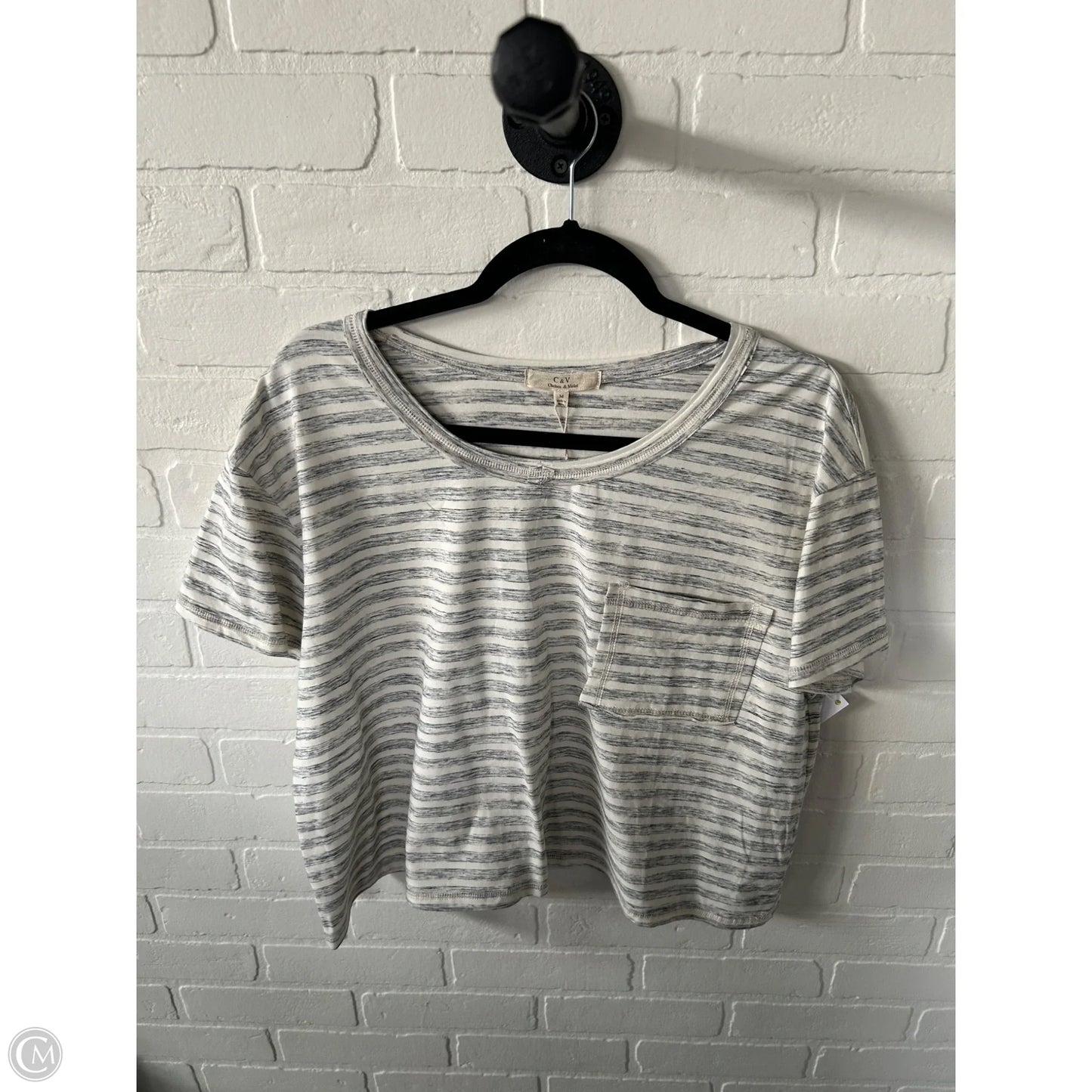 Top Short Sleeve Basic By Chelsea And Violet In Cream & Grey, Size: M