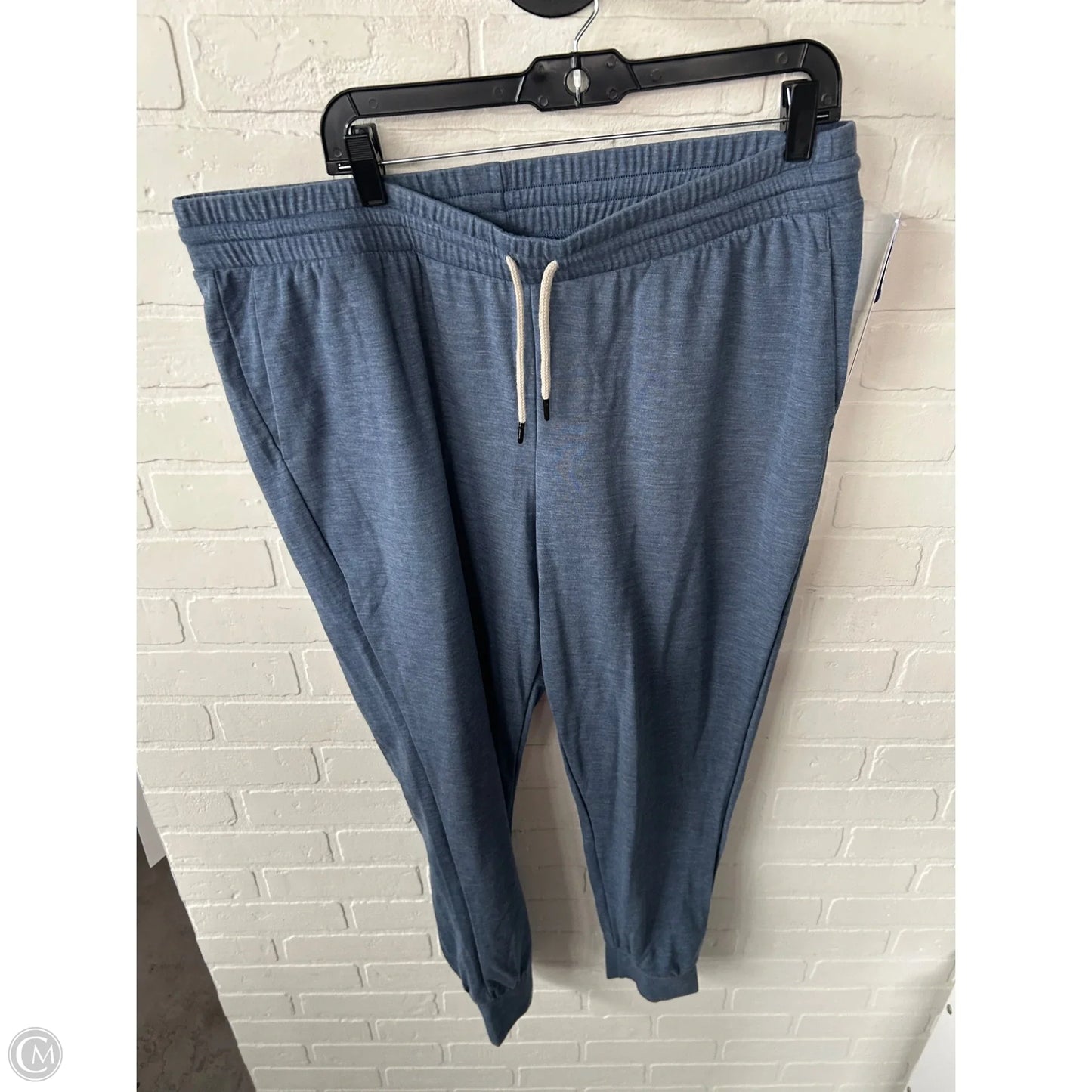 Athletic Pants By The North Face In Blue, Size: 16