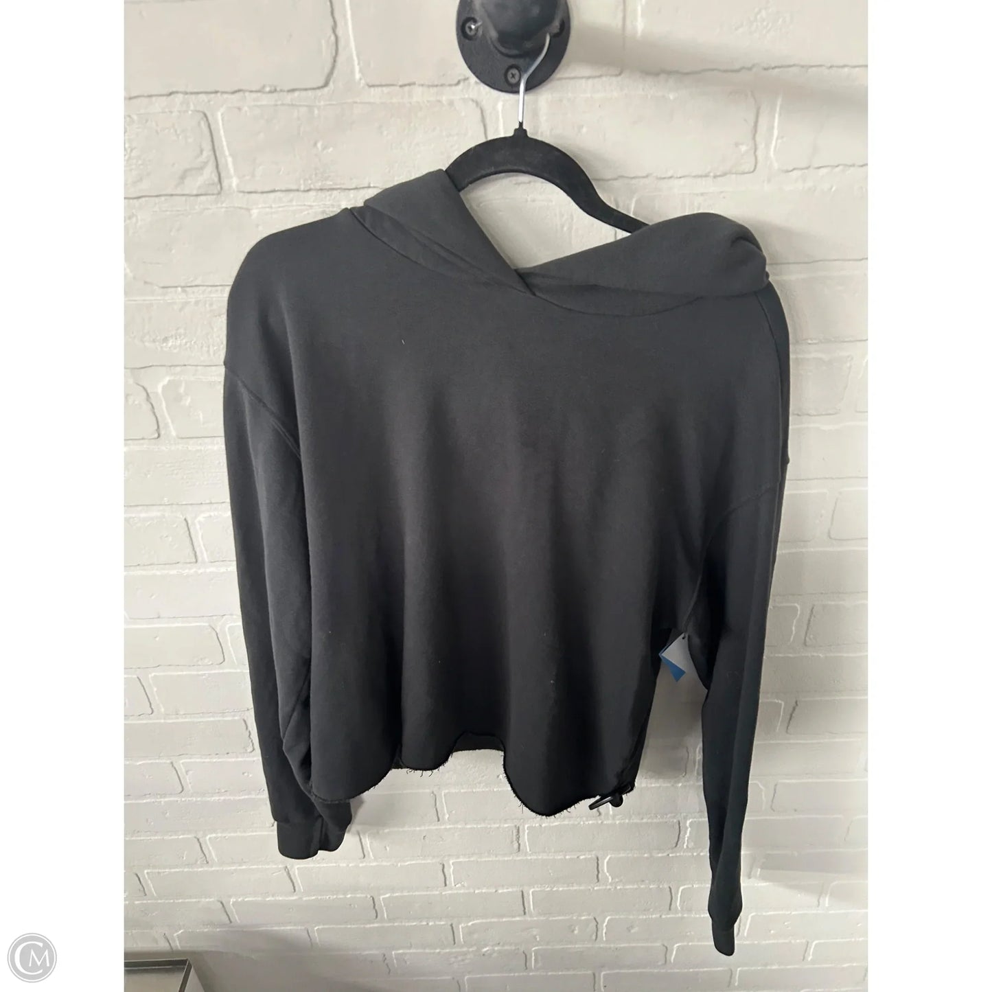 Sweatshirt Hoodie By Perfect White Tee In Grey, Size: L