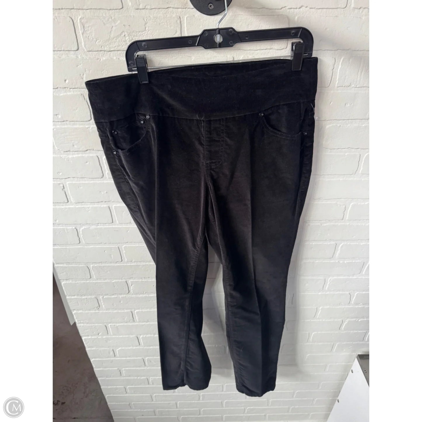 Pants Other By Jag In Black, Size: 16