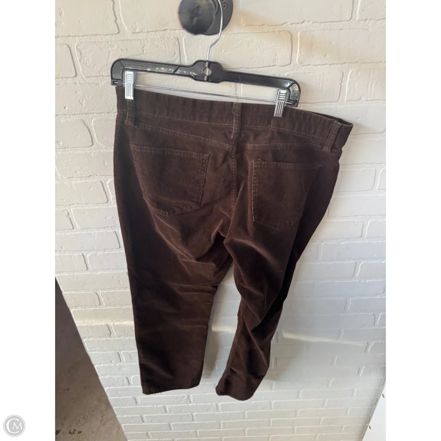 Pants Corduroy By St Johns Bay In Brown, Size: 16