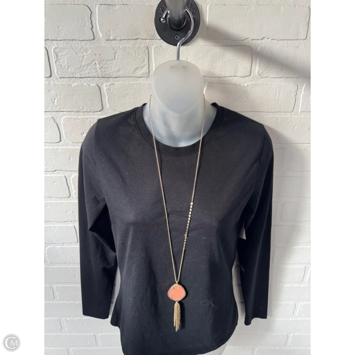 Necklace Pendant By Clothes Mentor