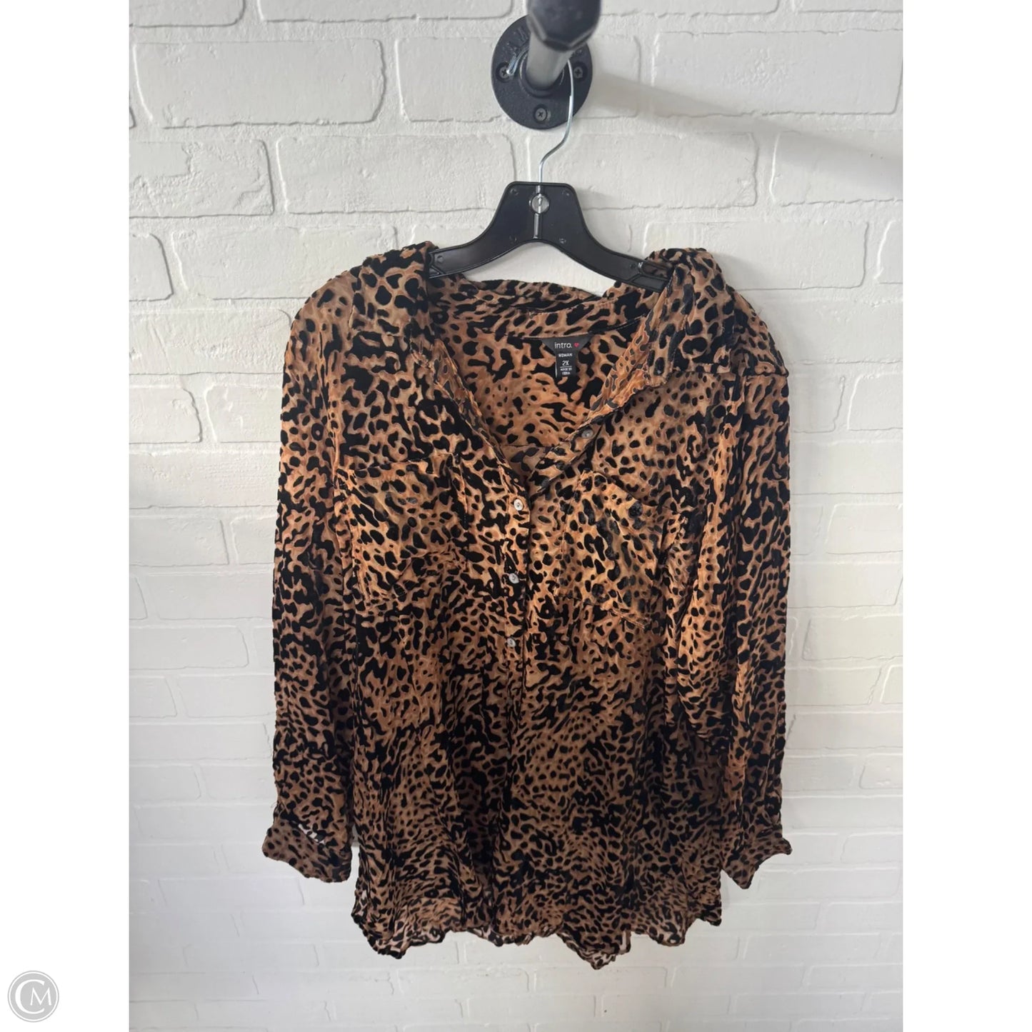 Top Long Sleeve By Intro In Black & Brown, Size: 2x