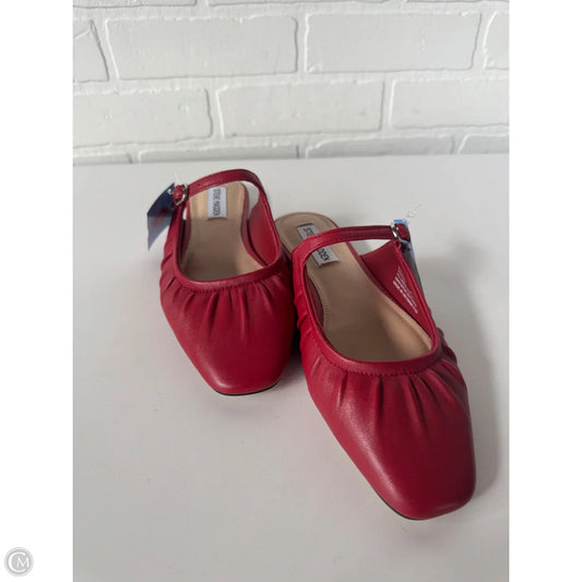 Shoes Flats By Steve Madden In Red, Size: 8