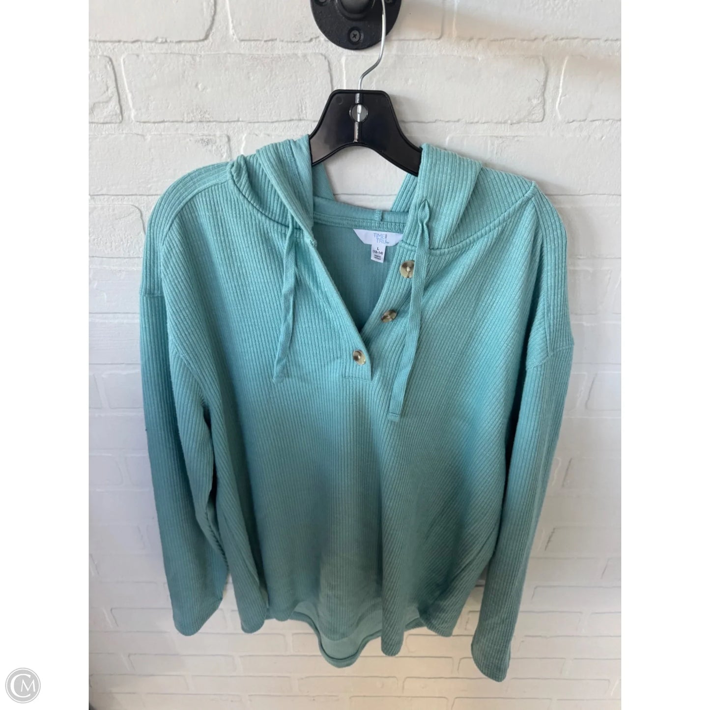 Top Long Sleeve By Time And Tru In Blue, Size: L