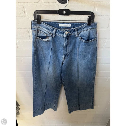 Jeans Wide Leg By Altard State In Blue Denim, Size: 12
