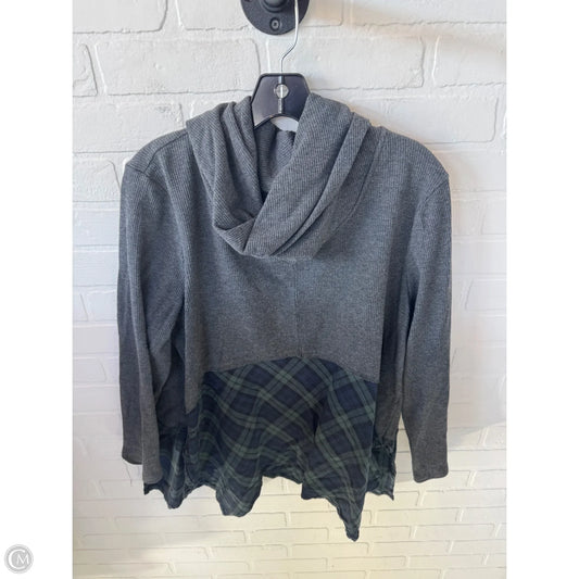 Top Long Sleeve By Suzanne Betro In Grey, Size: 2x