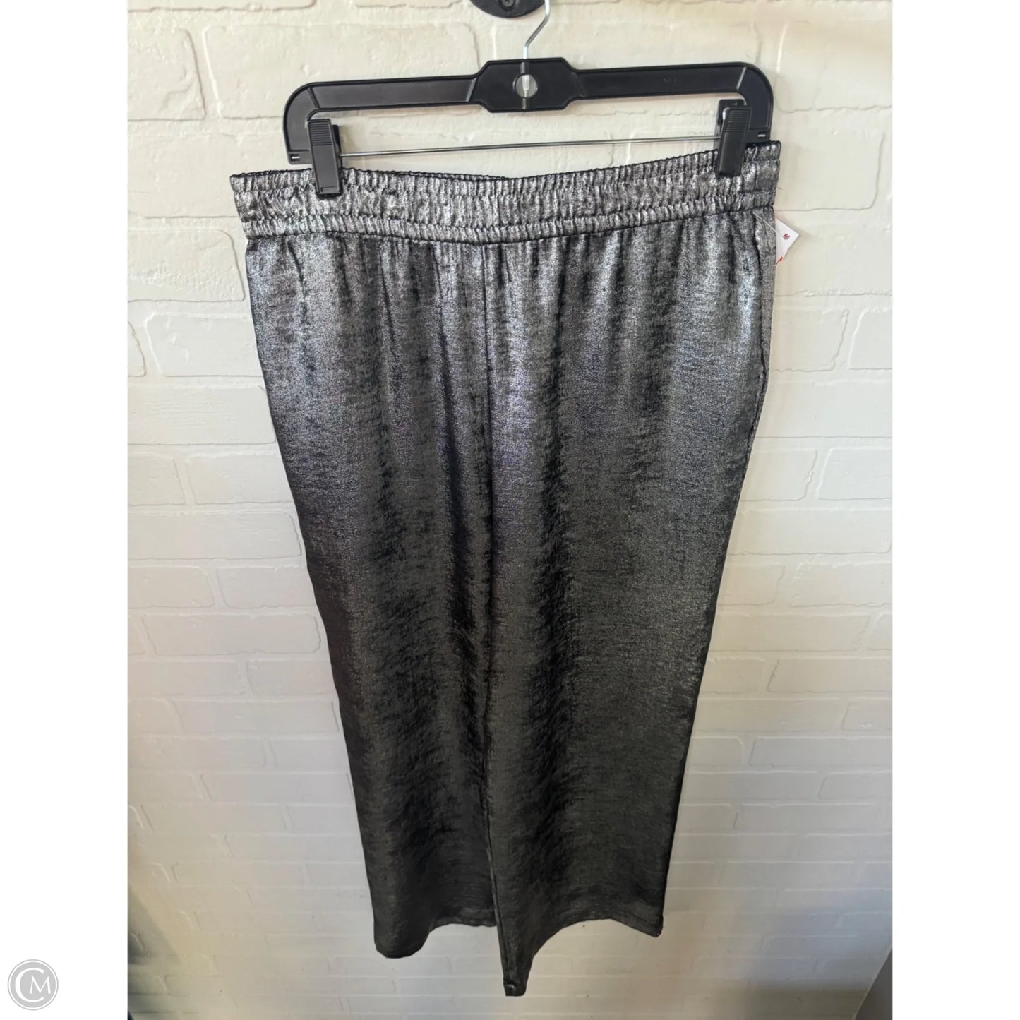 Pants Other By Zara In Silver, Size: 12