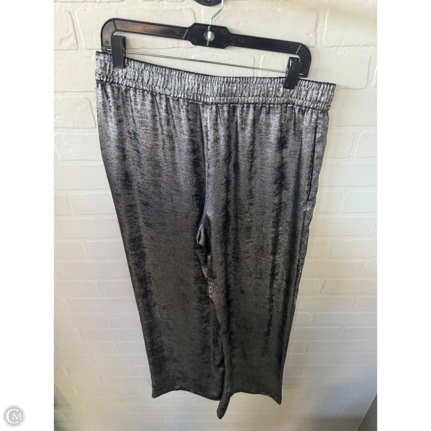 Pants Other By Zara In Silver, Size: 12