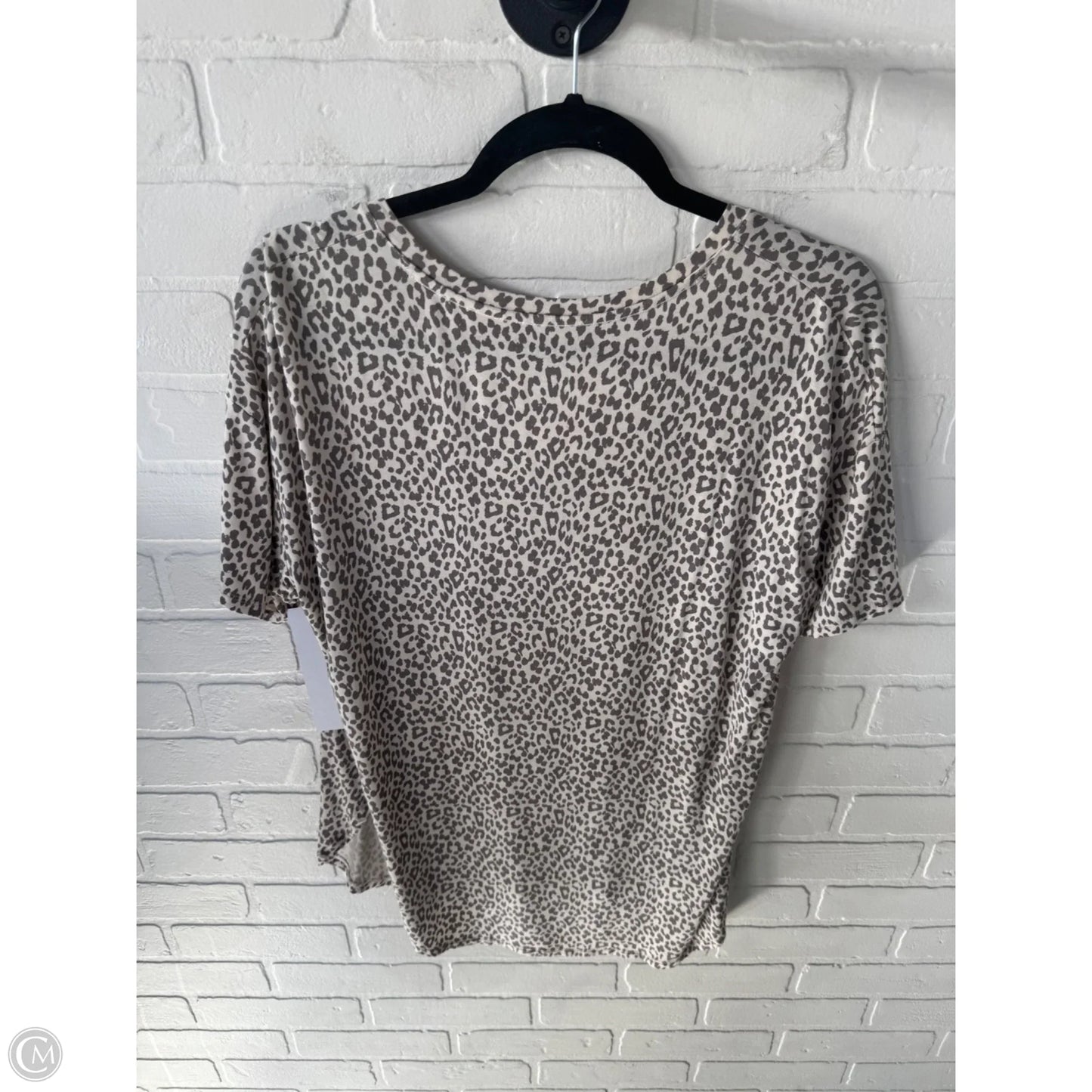 Top Short Sleeve Basic By American Eagle In Cream & Grey, Size: S
