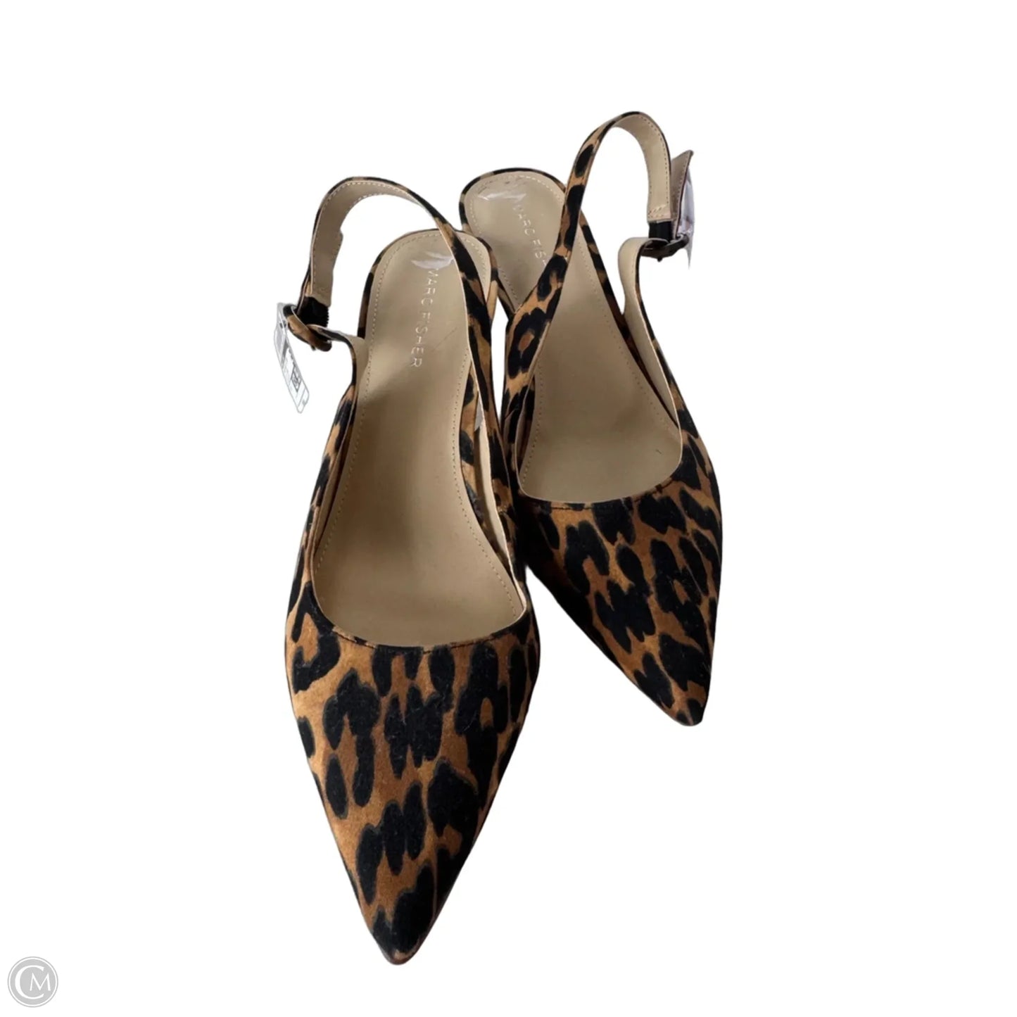 Shoes Heels Kitten By Marc Fisher In Black & Brown, Size: 8