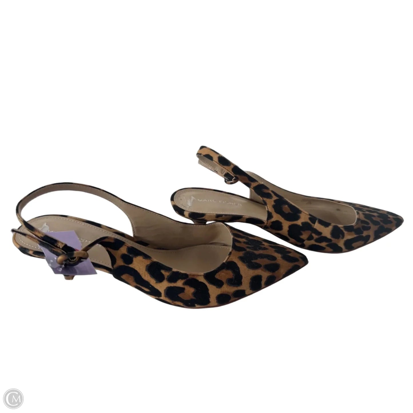 Shoes Heels Kitten By Marc Fisher In Black & Brown, Size: 8