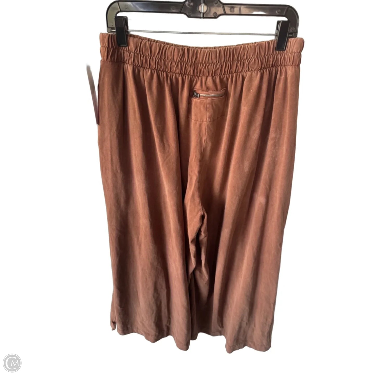 Pants Wide Leg By Free People In Brown, Size: 12