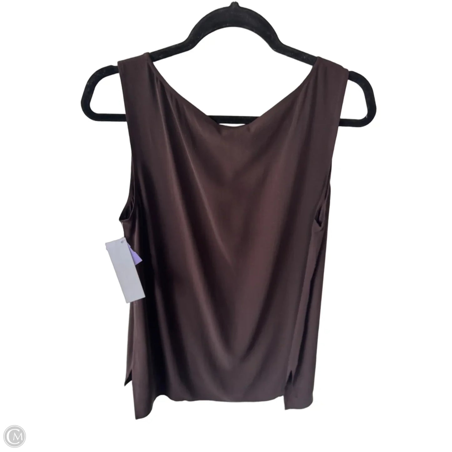 Tunic Sleeveless By Eileen Fisher In Brown, Size: M