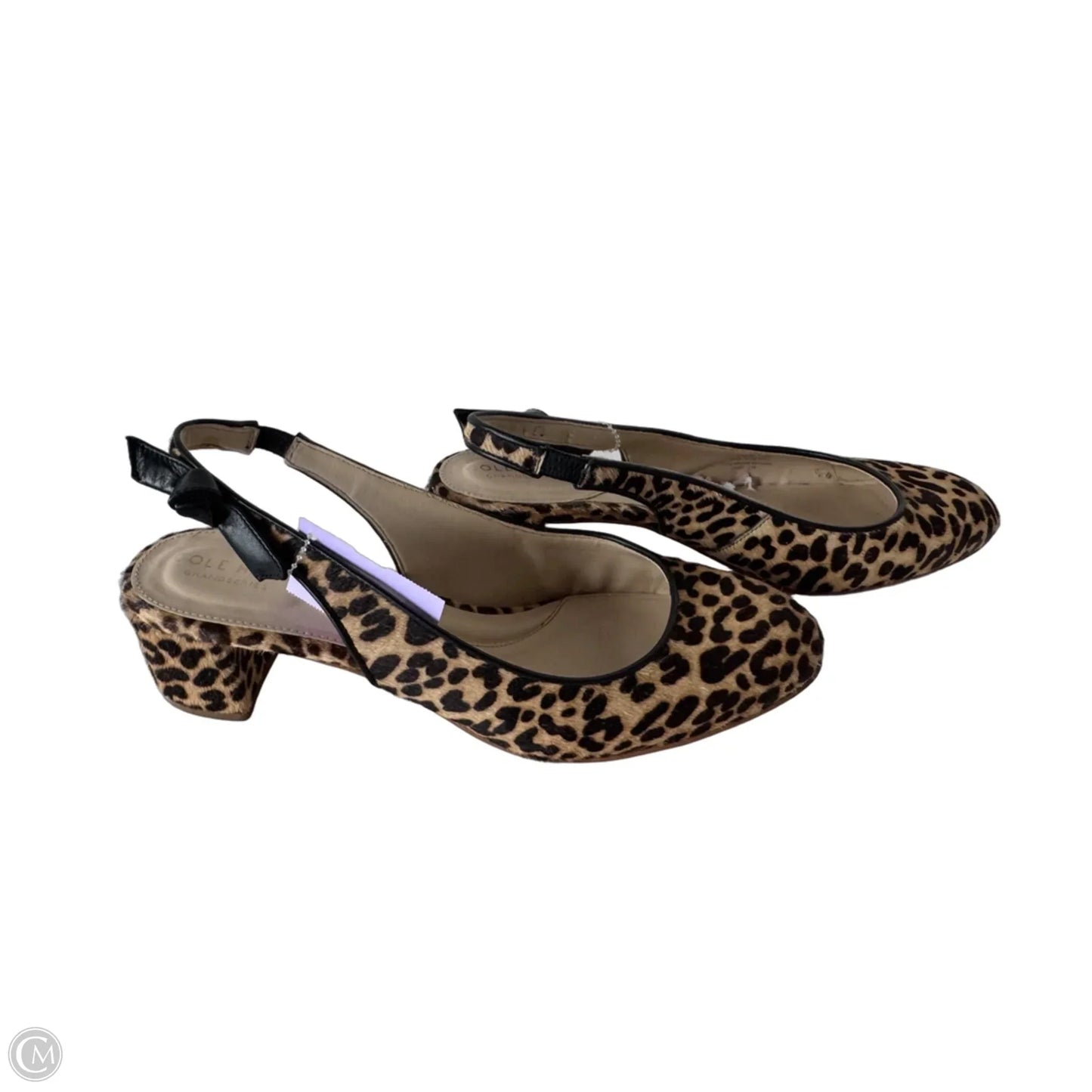 Shoes Heels Block By Cole-haan In Brown & Cream, Size: 9