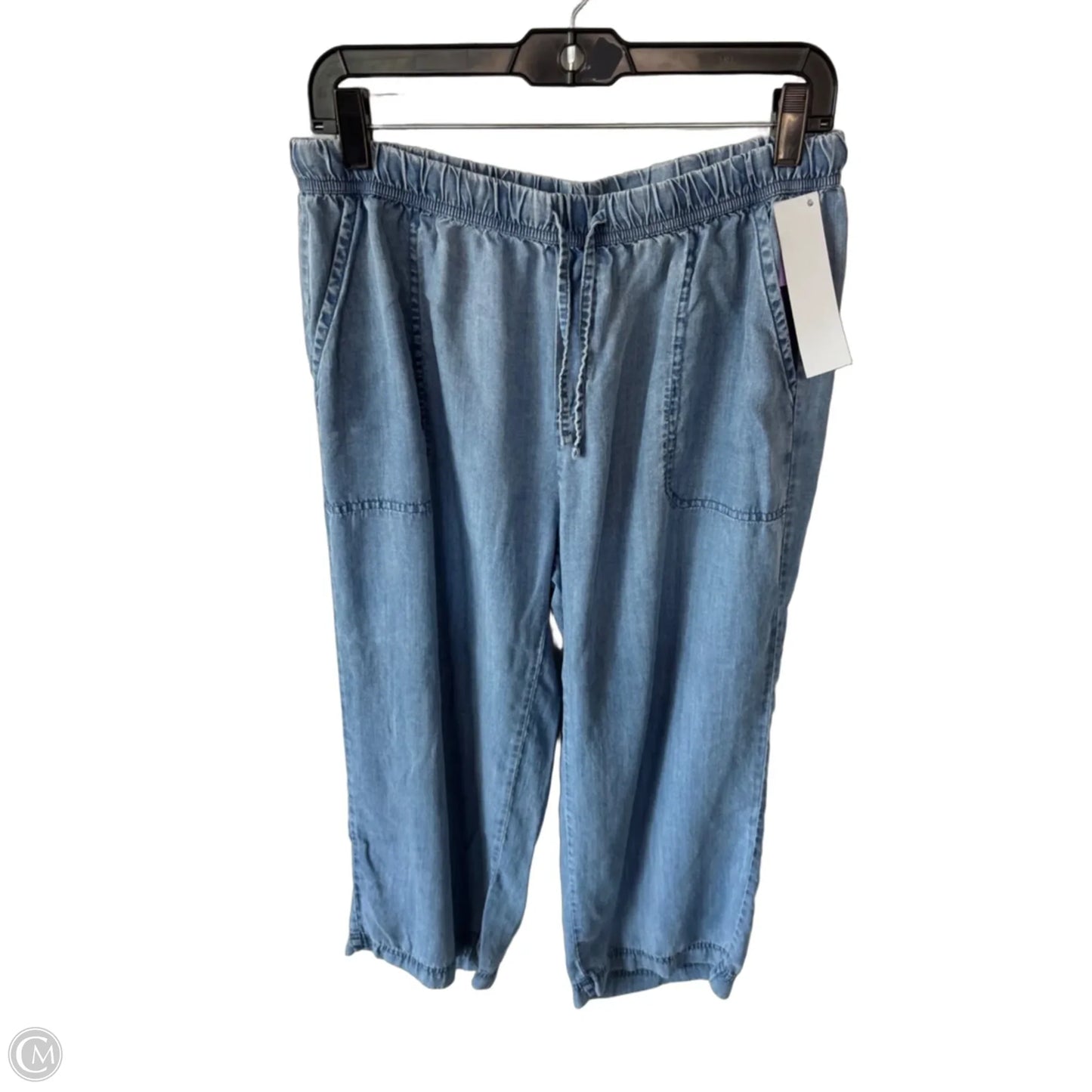Pants Wide Leg By Splendid In Blue, Size: 8