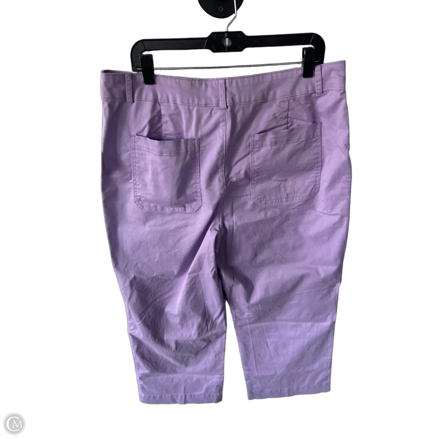 Pants Wide Leg By Loft In Purple, Size: 14